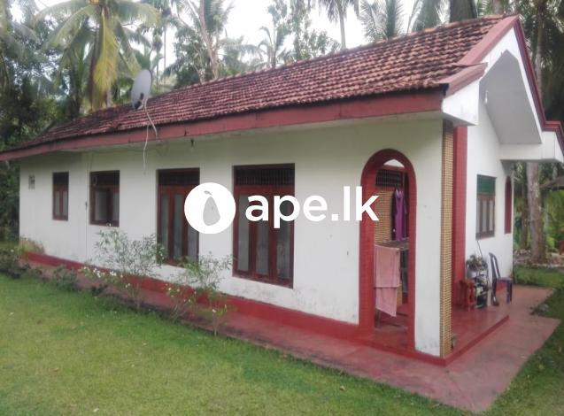 161 Perch Land with House for Sale - Rathgama
